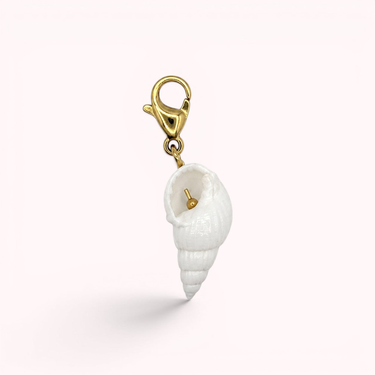 Charm Coquillage Turbo