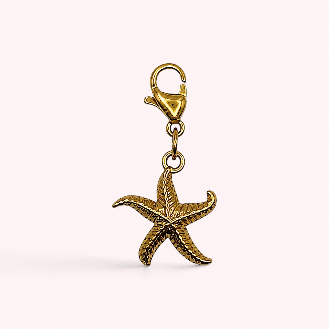 Charm Etoile Mer Metal