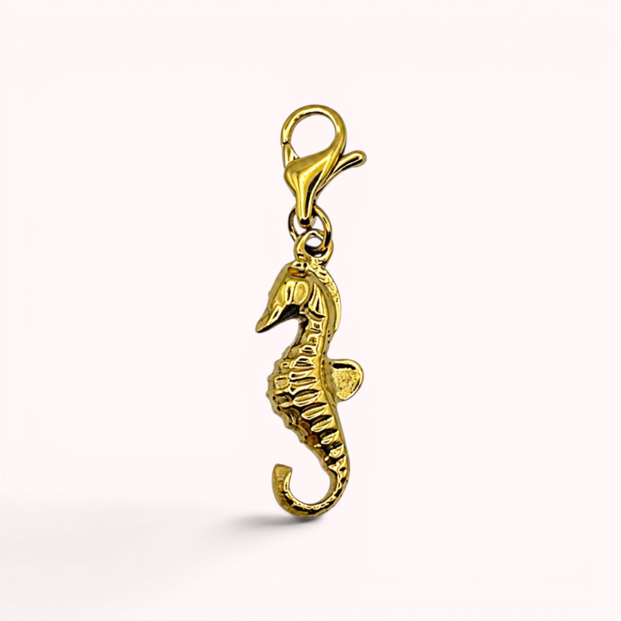 Charm Hippocampe