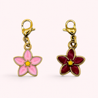 Charm Sakura